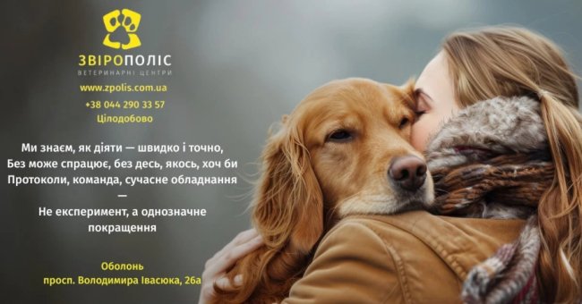 Ветеринарний центр на Оболоні: коли варто звернутися