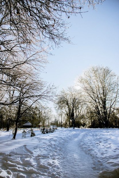 Волинське містечко перетворилося у засніжену казку