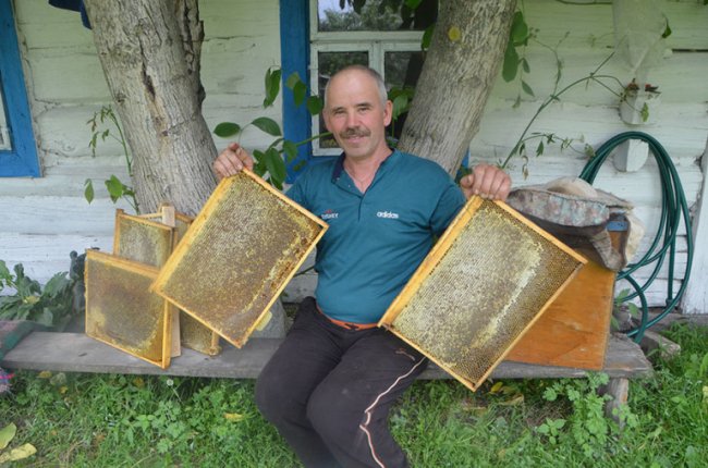 Волинський пасічник поселив бджіл у хатину на колесах. ФОТО