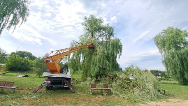 На Волині негода поламала дерева, пошкодила дахи, балкони, лінії електропередач
