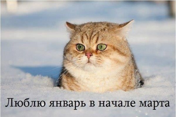 Приколи про негоду: підбірка №3