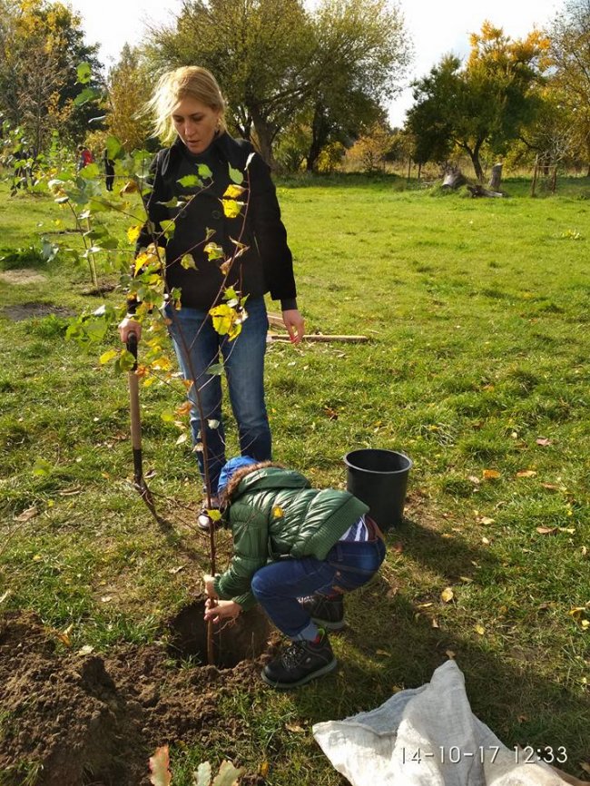 Ковель: в честь захисників України висадили парк