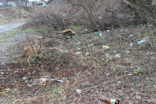 Узбережжя Стиру почали прибирати після зими. ФОТО