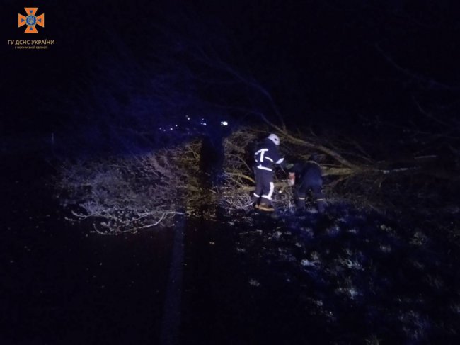 На Волині вночі негода повалила дерева на проїжджу частину. ФОТО