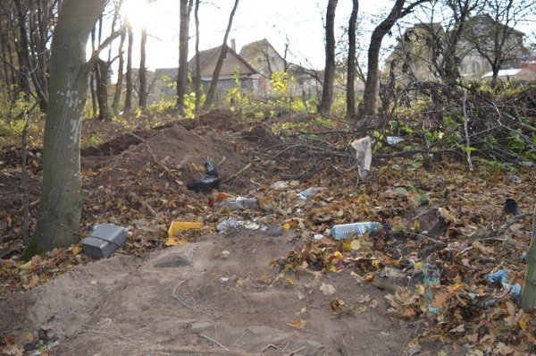 3000 волонтерів, 750 кубів сміття: завершився місячник прибирання лісів на Волині