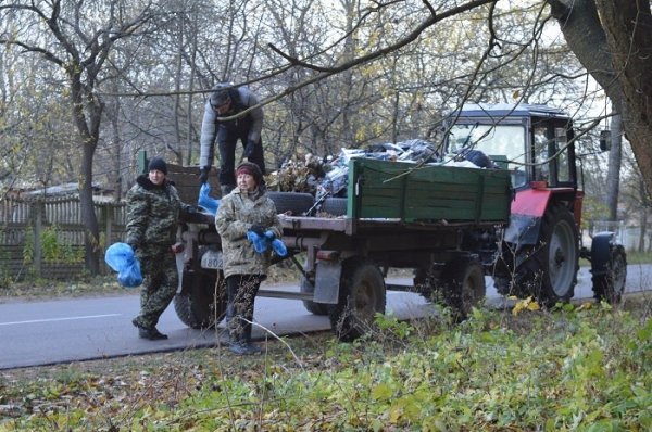 3000 волонтерів, 750 кубів сміття: завершився місячник прибирання лісів на Волині