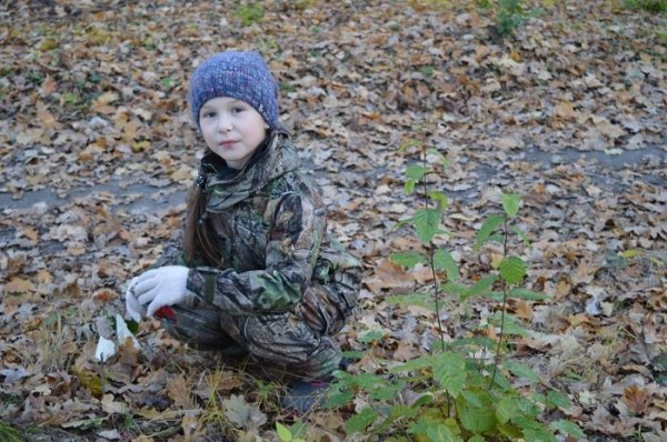 3000 волонтерів, 750 кубів сміття: завершився місячник прибирання лісів на Волині