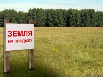 У Луцьку продали землі на понад 4 мільйони гривень