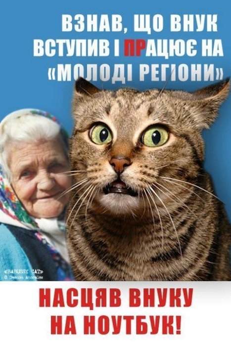 Бабуся і кіт: фотожабоманія триває. ФОТО