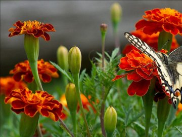 Скільки українці відпочиватимуть у жовтні