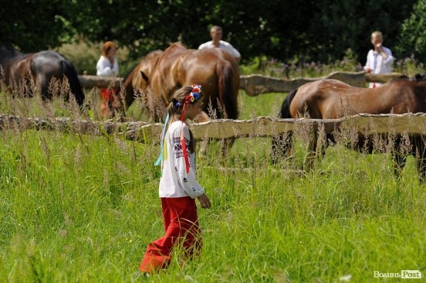 Козацька «тусовка» під Берестечком: як це було. ФОТО