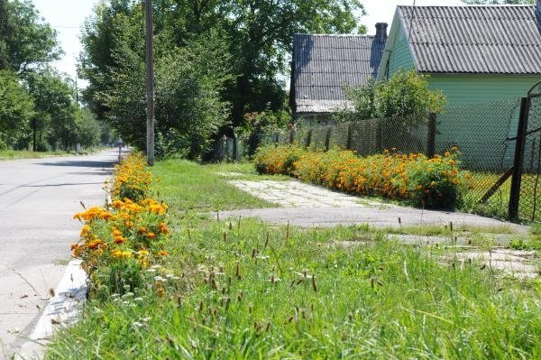 Як квітне райцентр на Волині. ФОТО