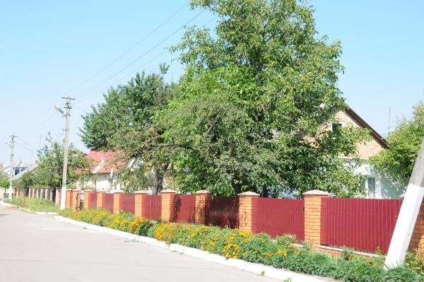 Як квітне райцентр на Волині. ФОТО