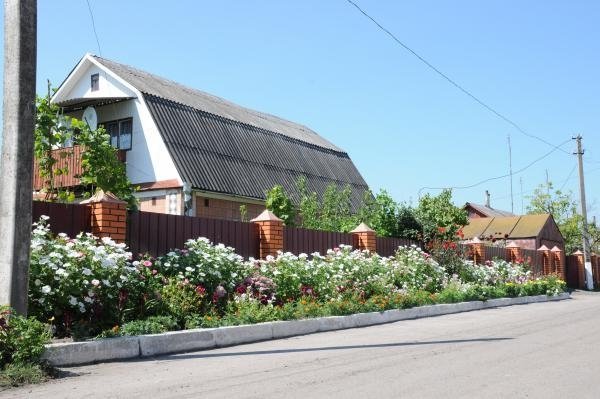 Як квітне райцентр на Волині. ФОТО