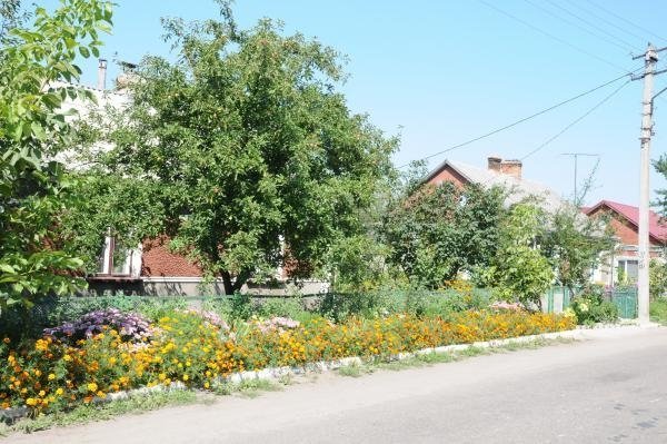 Як квітне райцентр на Волині. ФОТО