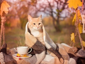 Погода в Луцьку та Волинській області на вихідні, 15 і 16 вересня