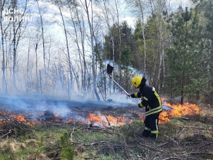 На Волині горіло 5 гектарів лісу. ФОТО