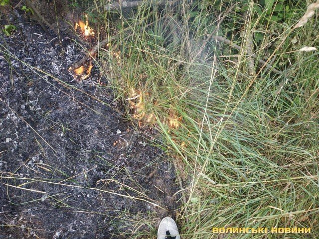 В Озерці палає ліс. ФОТО