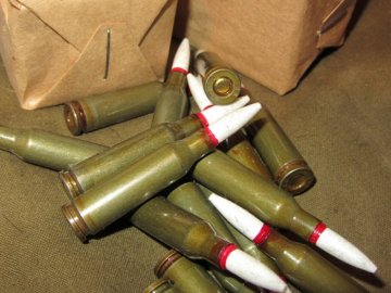 У волинянина вдома знайшли два десятки патронів