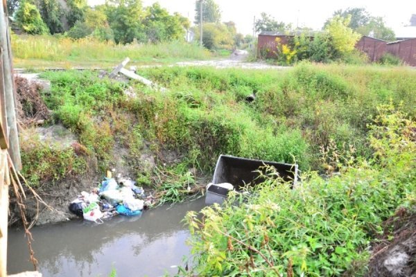 Нічні витівки по-луцьки: викинули у річку контейнер зі сміттям. ФОТО