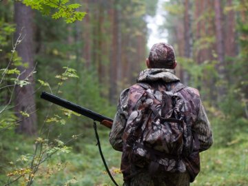 На Волині стартує сезон полювання на диких парнокопитних тварин