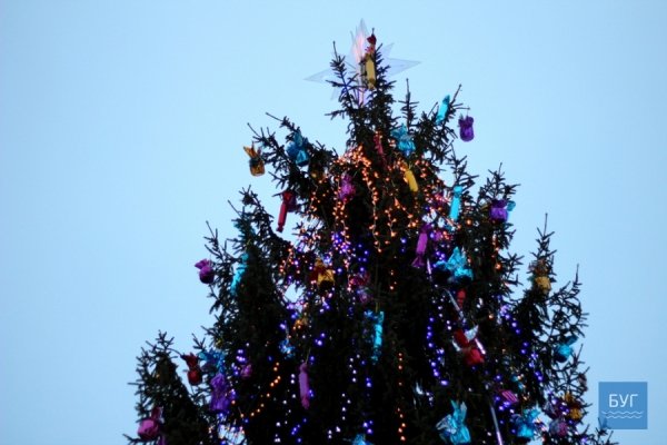 Селфі і співи: у Нововолинську засвітили головну ялинку