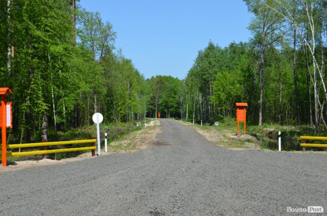 Експрес-подорож областю: на Волині – лісівники з усієї країни. ФОТО