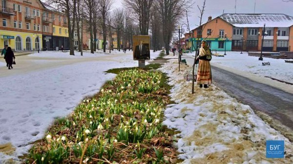 Можна саджати тюльпани, - у мережі кпинять із тепловтрат у Нововолинську