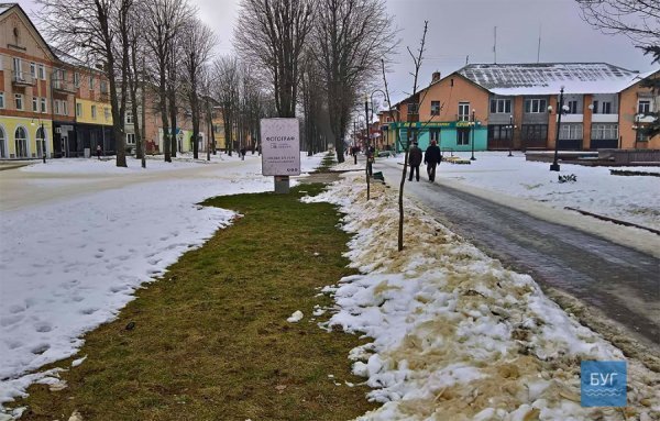 Можна саджати тюльпани, - у мережі кпинять із тепловтрат у Нововолинську