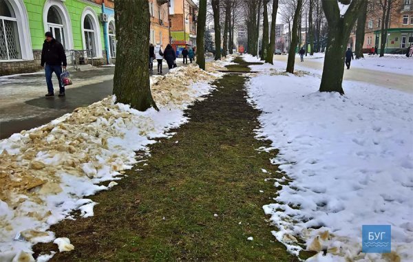 Можна саджати тюльпани, - у мережі кпинять із тепловтрат у Нововолинську