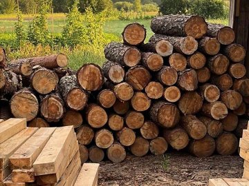 У 27-річного волинянина поліцейські виявили вдома незаконну деревину, зброю та набої