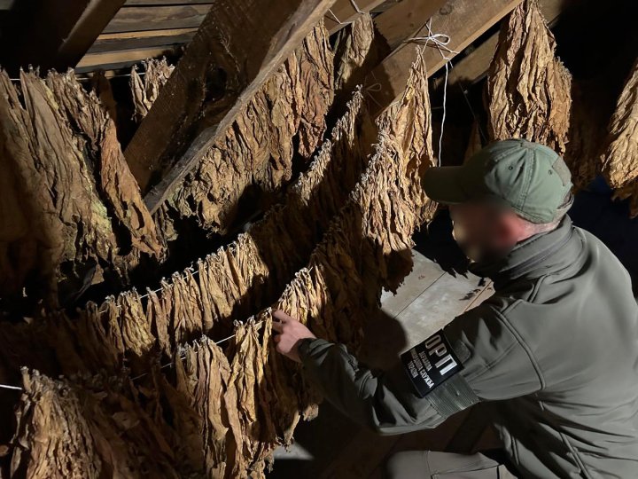 На Волині викрили незаконну «тютюнову фабрику». ВІДЕО