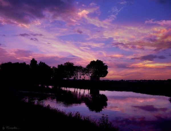 Фотовиставка Ольги Абрамової