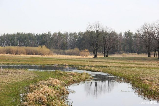 Мальовничі села в об'єктиві волинського фотографа. ФОТО