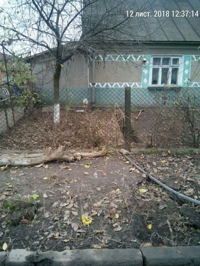 У Луцьку зловили мешканців, які зливали нечистоти на дорогу