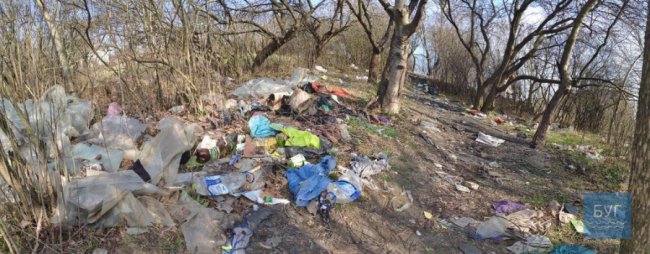 Купи сміття та шприців: в містечку на Волині прибрали територію біля школи. ФОТО