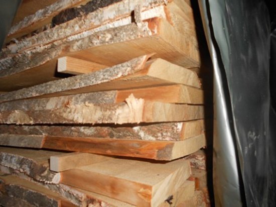 Оборудки із лісом: на Волині затримали вантаж із фальшивими документами