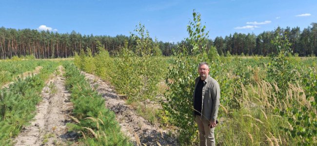 Рекультивована ділянка після видобутку бурштину