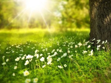 Погода в Луцьку та Волинській області на вихідні, 27 і 28 червня