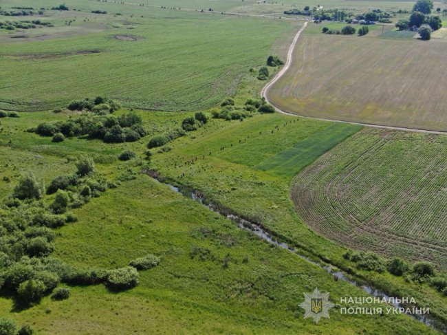 Понад місяць шукали як безвісти зниклу: на Волині мешканець із сусіднього села вбив 67-річну жінку