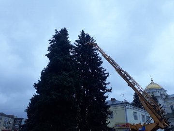 На низькому старті: у Луцьку взялися прикрашати головну ялинку міста. ФОТО