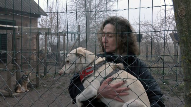 Зооволонтерка з Волині прилаштувала в добрі руки понад сотню собак із фронту