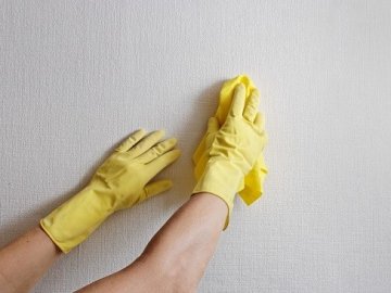 Як прибрати сліди комах зі шпалер?*