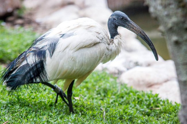 Рівненський звіринець на світлинах волинського фотографа. ФОТО