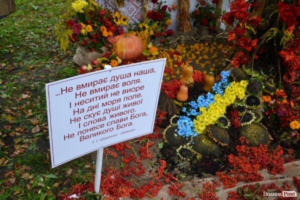 У Луцьку  - квіткова виставка до Дня Незалежності. ФОТО