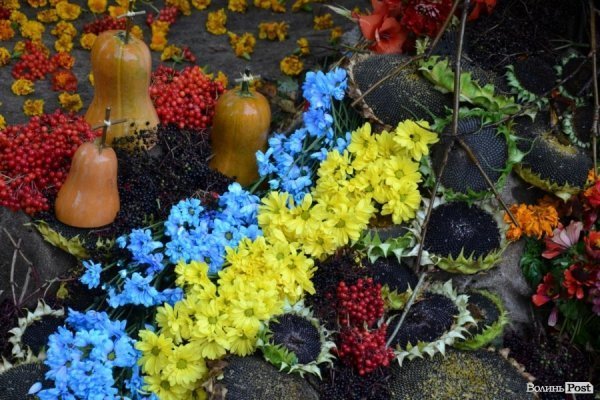 У Луцьку  - квіткова виставка до Дня Незалежності. ФОТО