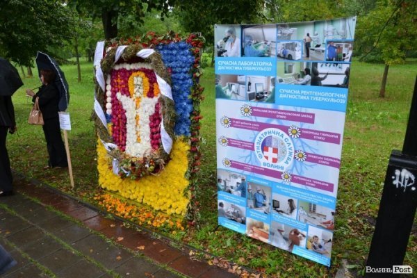 У Луцьку  - квіткова виставка до Дня Незалежності. ФОТО