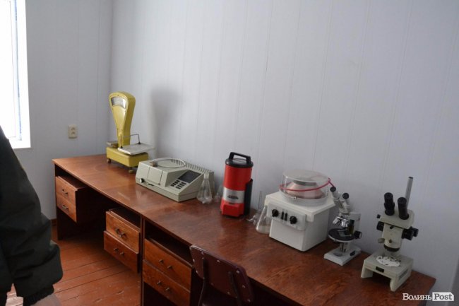 Банк насіння, плантації, шишкосушарки: як на Волині готують «нові ліси»