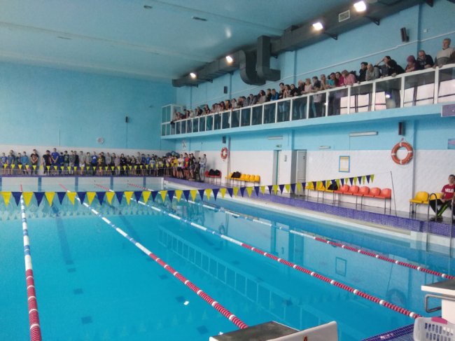 У Луцьку юні плавці змагались за право поїхати на чемпіонат України до Львова. ФОТО