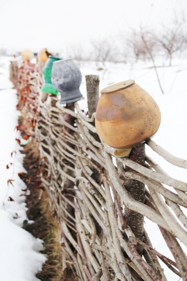 Фотовиставка Тетяни Полуектової